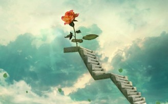 创业CEO的54个教训(中):没有在现实中见到足够多的客户