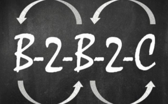天使投资人Iris:B2B狂热后将回归理性,有这4点特质才会受VC青睐!