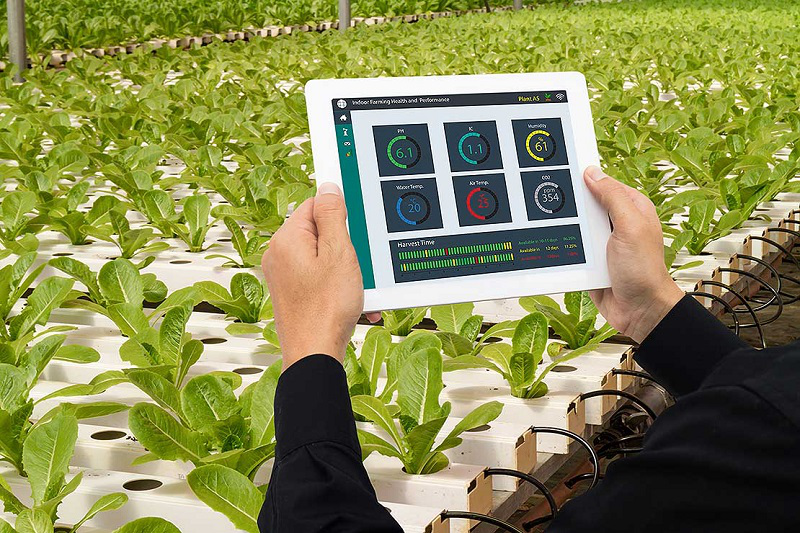 [海外政策]新西兰成立农村创新实验室，用数字技术推动农业创新