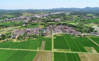 如何推进农村双创?国内国际政府都用了这4招