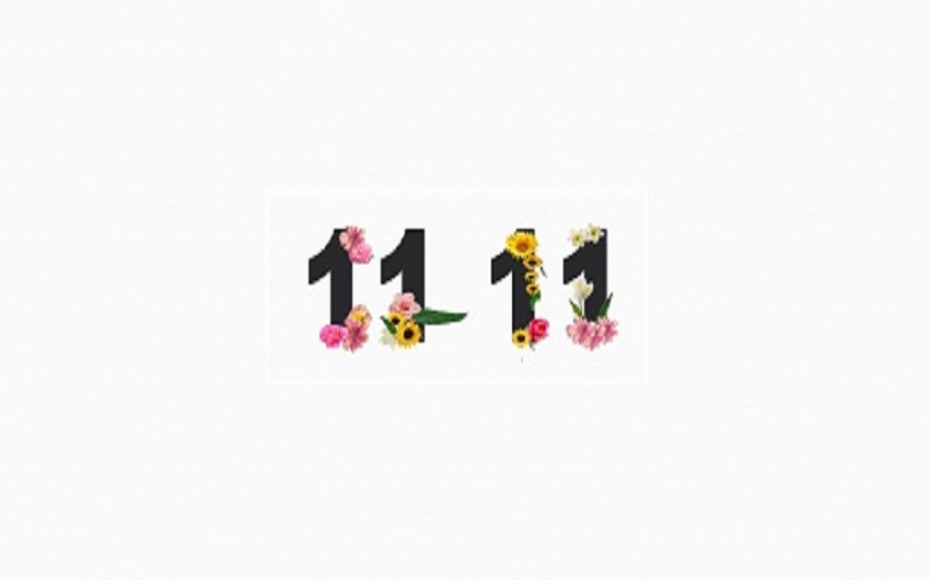 [1111创精选]双11战绩出炉，剁手再次剁出新高度！有你的贡献吗？
