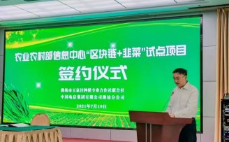 山东潍坊:“区块链+韭菜”试点项目正式启动