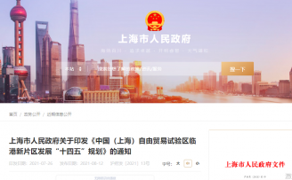 上海临港:“十四五”加大科技创新创业孵化载体、众创空间引进力度