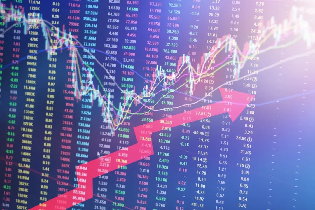 北交所开年交易趋活跃，近300家机构“组团”调研